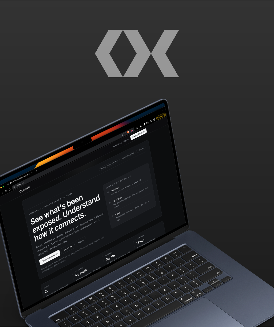 0xinfo — Logomark